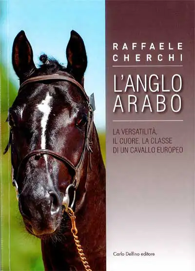 Raffaele Cherchi - L'Anglo Arabo