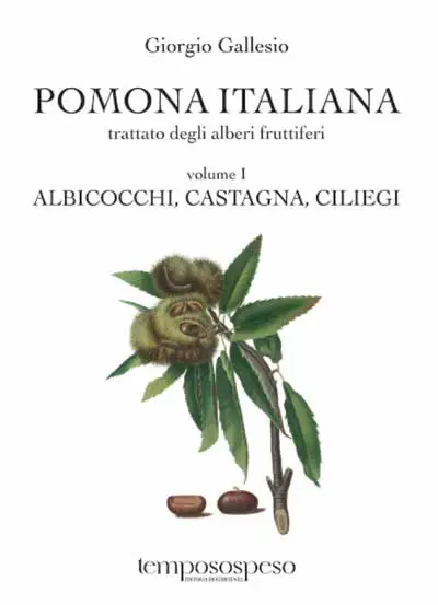 Giorgio Gallesio - Pomona Italiana - Albicocchi, Castagna, Ciliegi