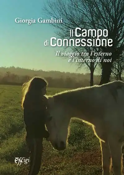 Giorgia Gambini - Il campo di connessione