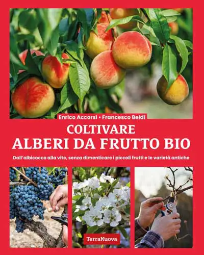 Enrico Accorsi, Francesco Beldì Coltivare alberi da frutto bio immagine non disponibile