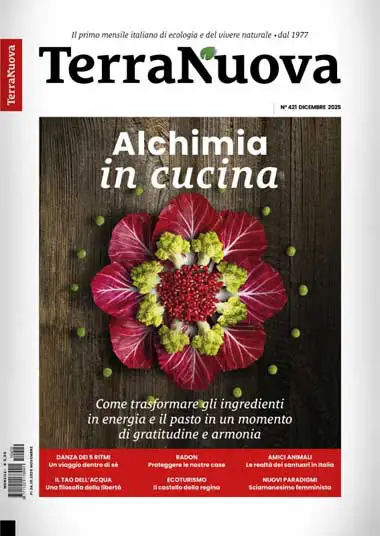 Redazione AAM Terranuova - AAM Terranuova n.421 Dicembre 2025