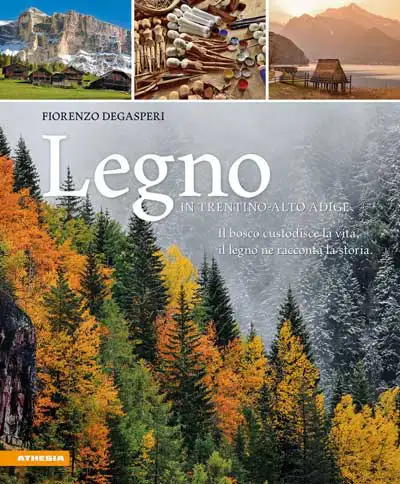 Fiorenzo Degasperi - Il legno in Trentino-Alto Adige