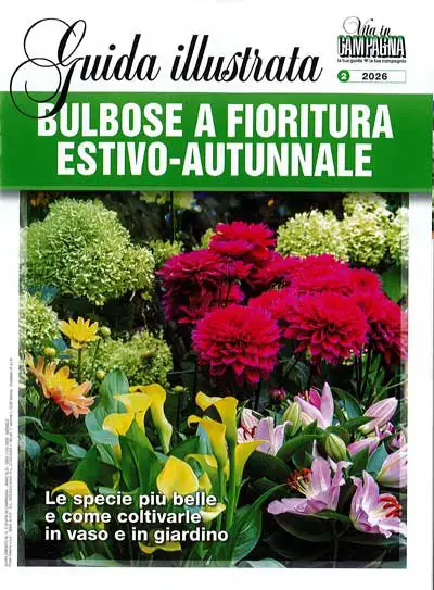 Christian Shejbal - Bulbose a fioritura estivo-autunnale