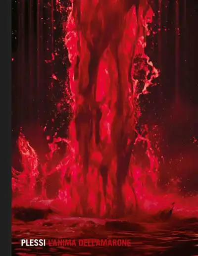 Fabrizio Plessi - L'anima dell'Amarone