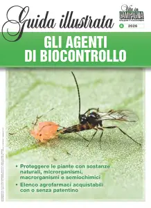 a cura di Roberto Salvò Gli agenti di biocontrollo immagine non disponibile