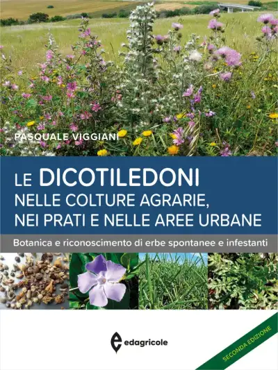 Pasquale Viggiani - Le Dicotiledoni nelle colture agrarie, nei prati e nelle aree urbane
