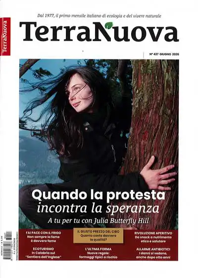 Redazione AAM Terranuova - AAM Terranuova n.427 Giugno 2026