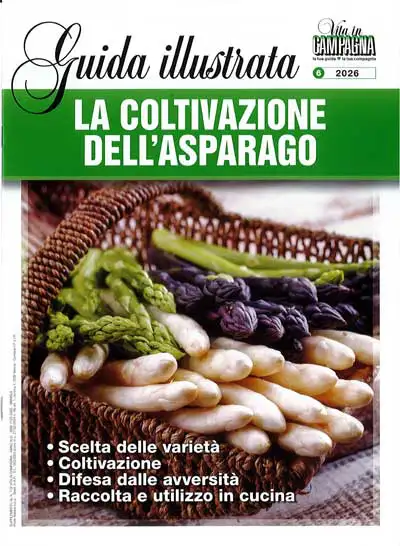 Chiara Bonan, Michele Patuzzi - La coltivazione dell'asparago
