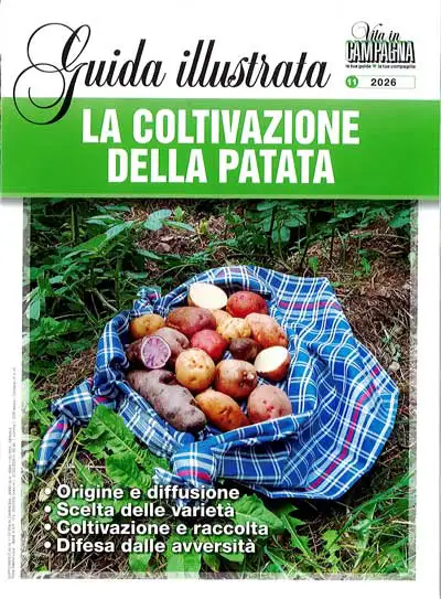 a cura di Fabrizio Bottari - La coltivazione della patata