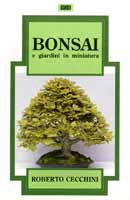 Roberto Cecchini: Bonsai