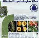 SIPaV: Atlante fitopatologico cd-rom