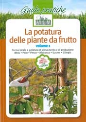 Giorgio Bargioni, Gino Bassi, Giovanni Comerlati, Giovanni RigoLa potatura delle piante da frutto - volume 1