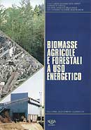 Sanzio Baldini: Biomasse agricole e forestali a uso energetico