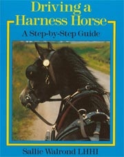 Sallie Walrond L.H.H.I.Driving a harness horse