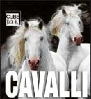 AA .VV.Cavalli - cube book