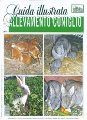 a cura di Cristiano Papeschi: Allevamento coniglio