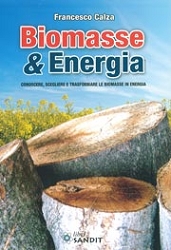 Francesco Calza: Biomasse & energia