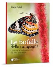 Eliana FerioliLe farfalle della campagna