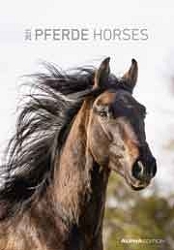 a.a.v.v.: Calendario da parete Pferde Horses 2021