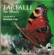 Giuseppe FrigoFarfalle nel Veneto - Butterflies in Veneto