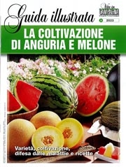 a cura di Davide BoscainiLa coltivazione di anguria e melone